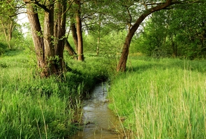 Destruction et reamenagement cours d eau