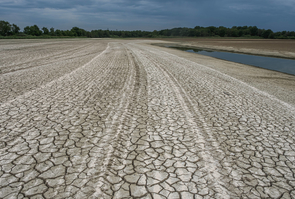 Early drought-France-Ain