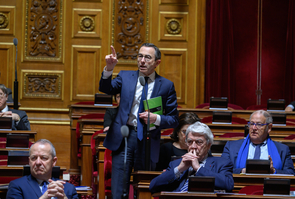 Paris: Senate pension debat