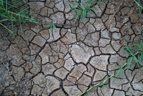 Dry and cracked marshland, Accra, Ghana - 09 Aug 2021