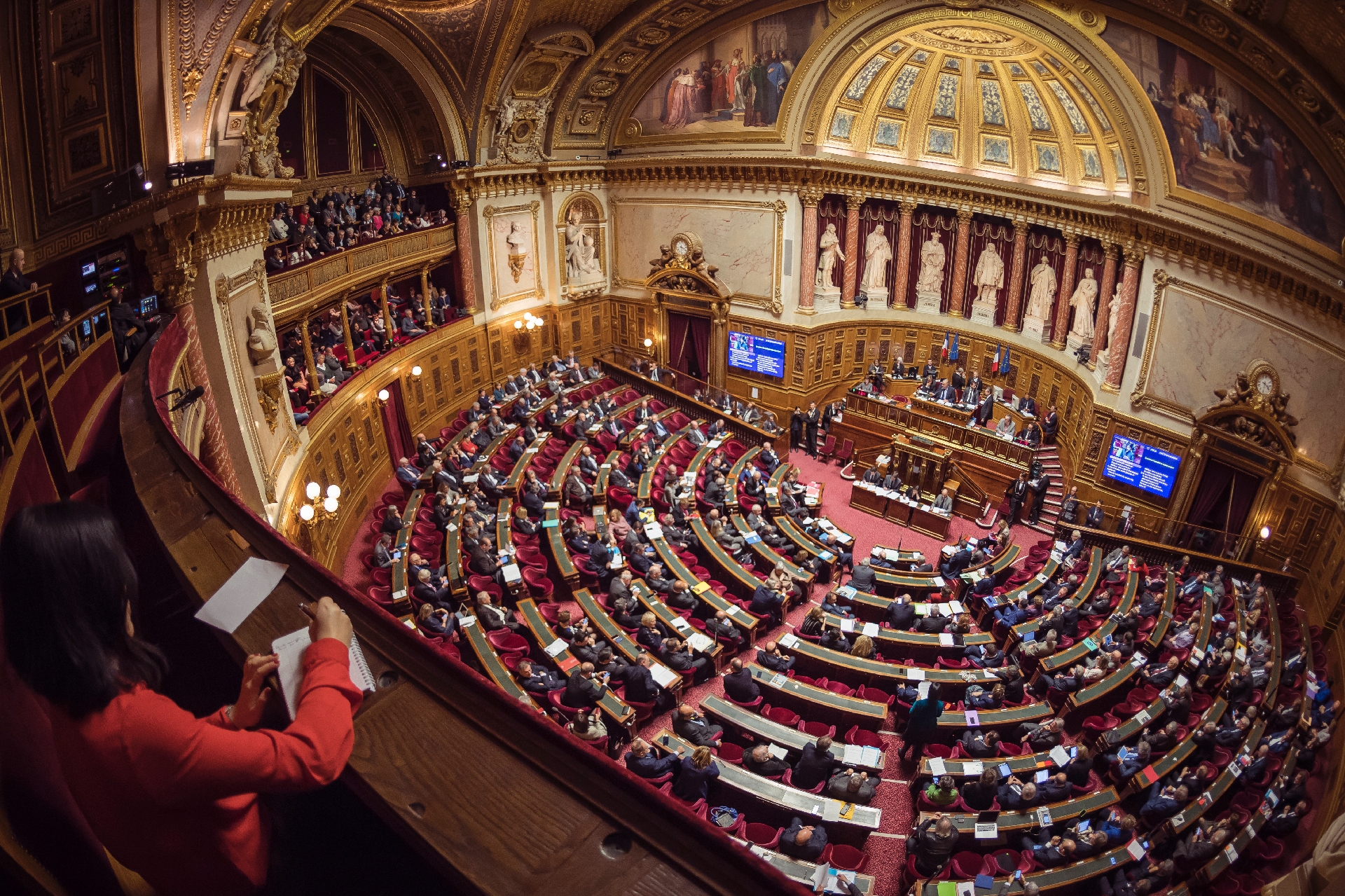 L'hémicycle du Sénat, à Paris, le 17 novembre 2016 L'hémicycle du Sénat, à Paris, le 17 novembre 2016